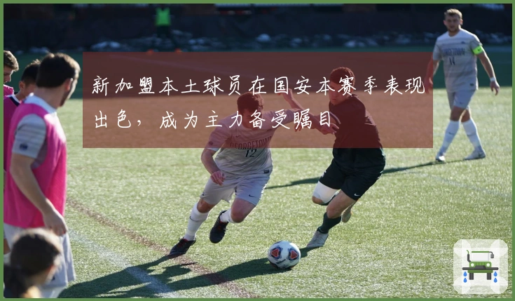 新加盟本土球员在国安本赛季表现出色，成为主力备受瞩目