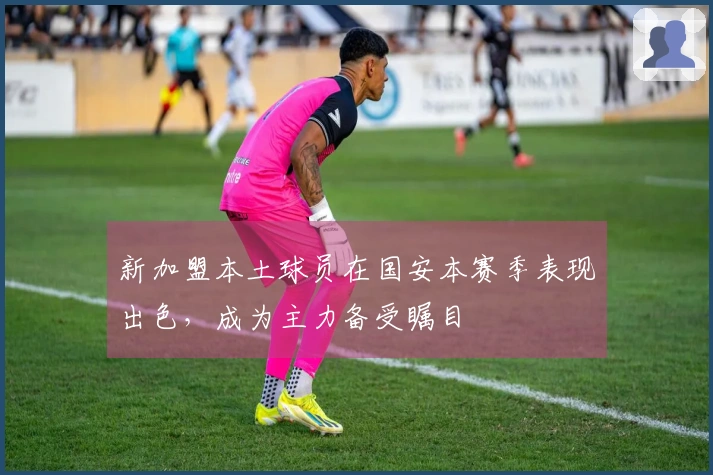 新加盟本土球员在国安本赛季表现出色，成为主力备受瞩目